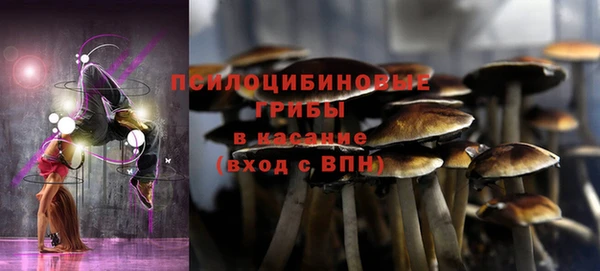 мдпв Протвино