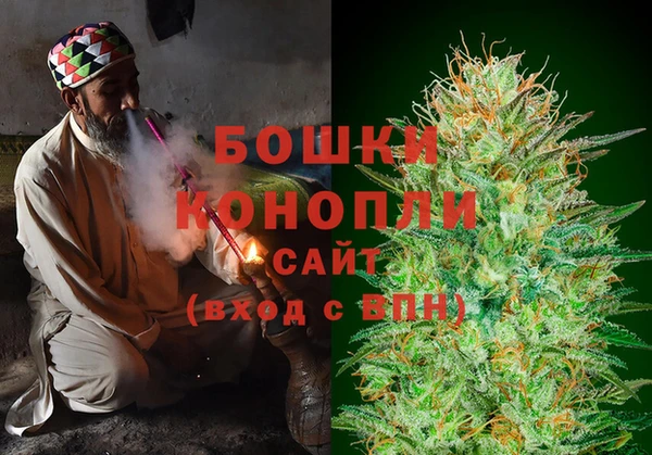 мдпв Протвино