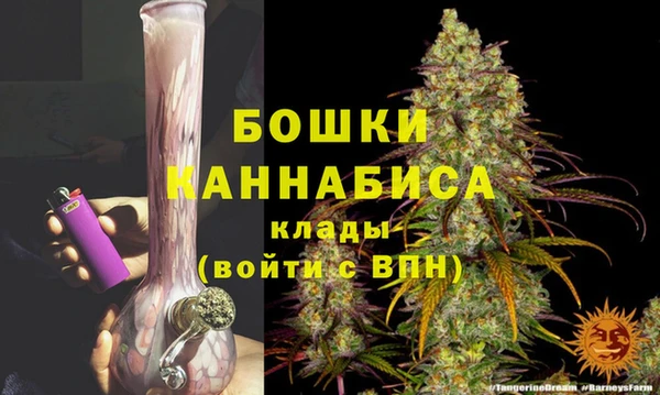 мдпв Протвино