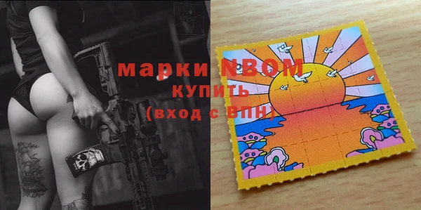 трава Карпинск